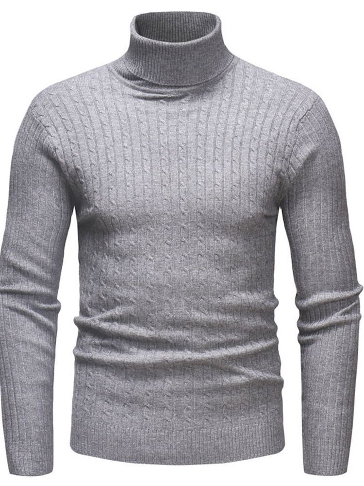 Plain Standard Turtleneck Casual Mænds Slim Sweater