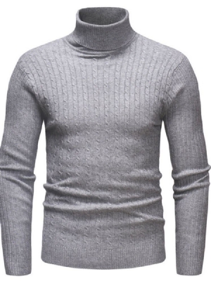 Plain Standard Turtleneck Casual Mænds Slim Sweater