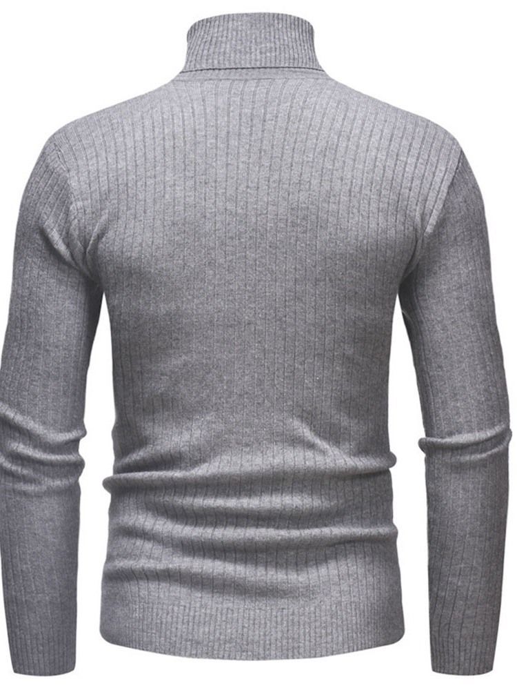 Plain Standard Turtleneck Casual Mænds Slim Sweater