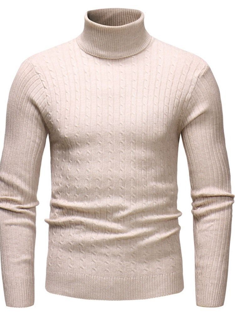 Plain Standard Turtleneck Casual Mænds Slim Sweater