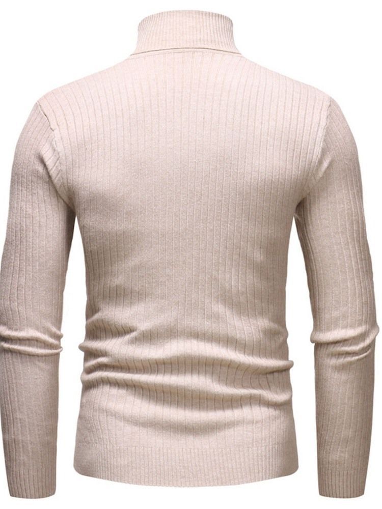 Plain Standard Turtleneck Casual Mænds Slim Sweater