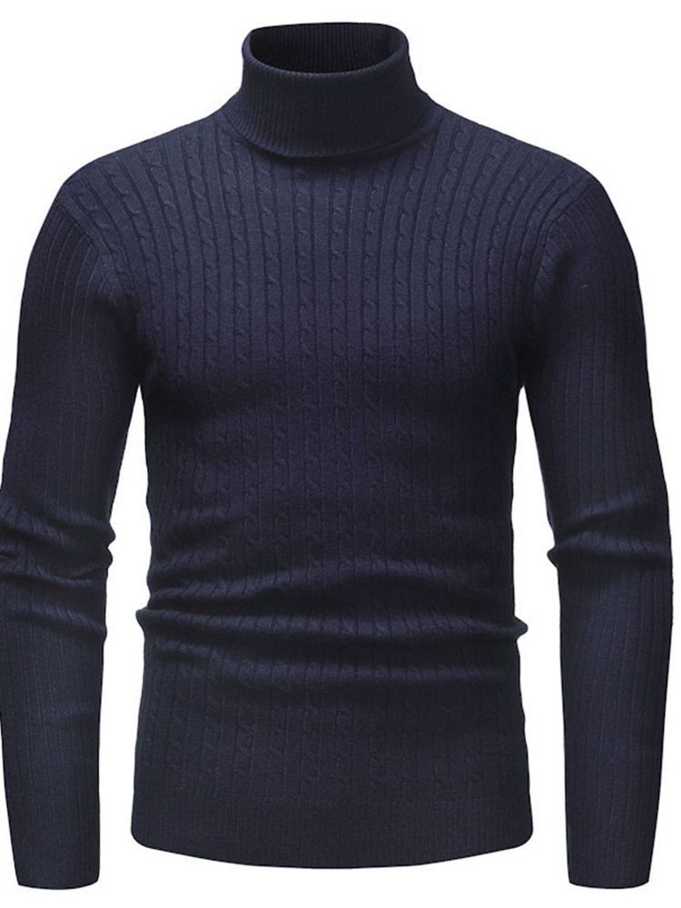 Plain Standard Turtleneck Casual Mænds Slim Sweater