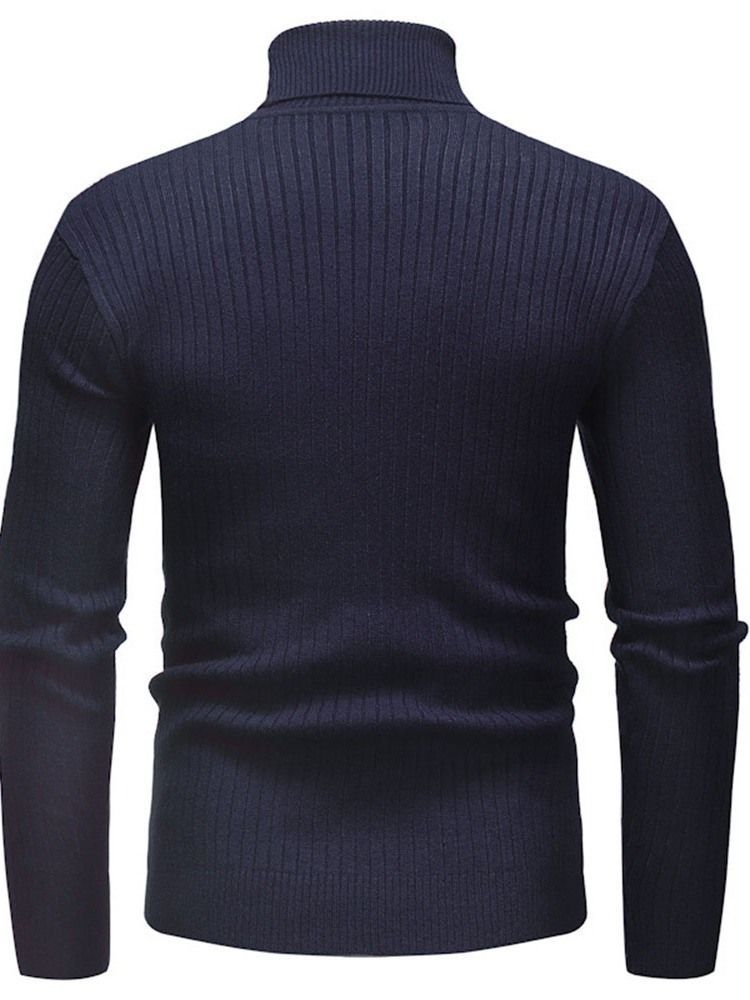 Plain Standard Turtleneck Casual Mænds Slim Sweater