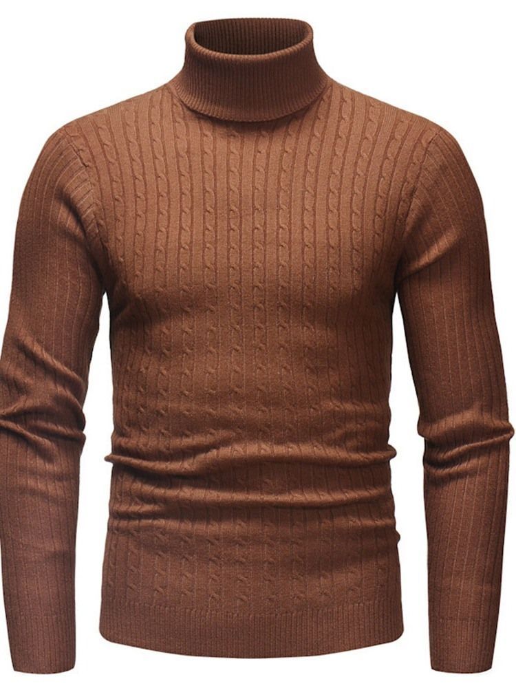 Plain Standard Turtleneck Casual Mænds Slim Sweater