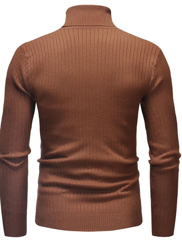 Plain Standard Turtleneck Casual Mænds Slim Sweater