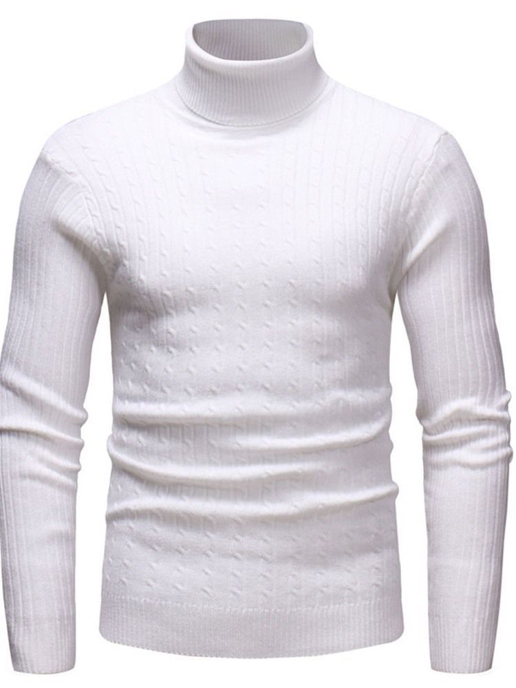 Plain Standard Turtleneck Casual Mænds Slim Sweater