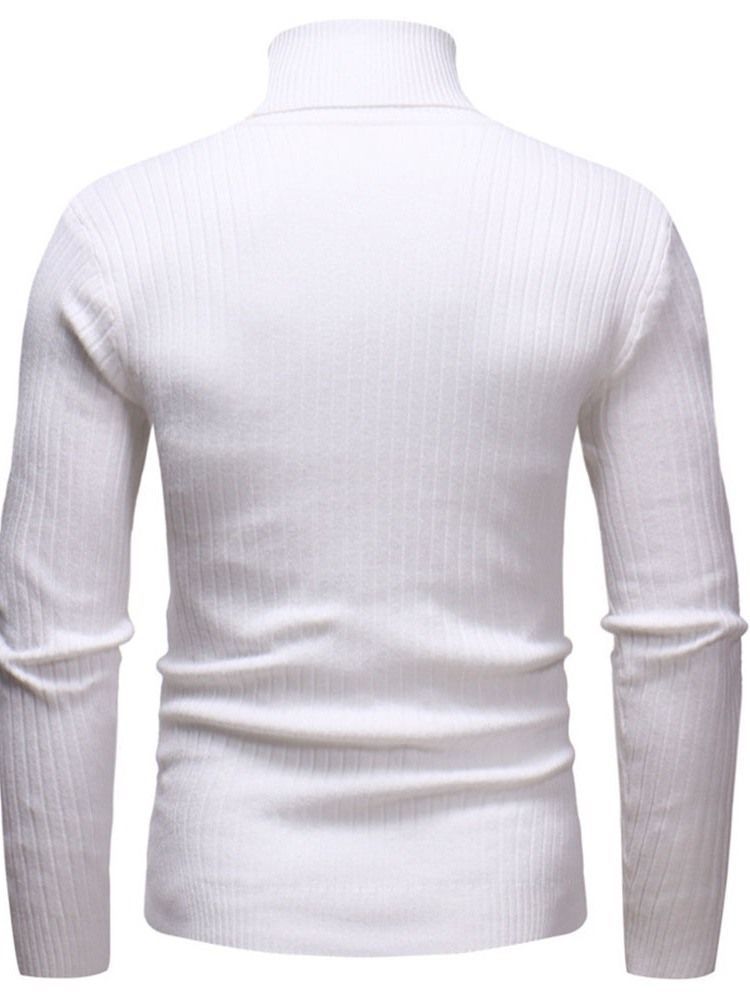 Plain Standard Turtleneck Casual Mænds Slim Sweater