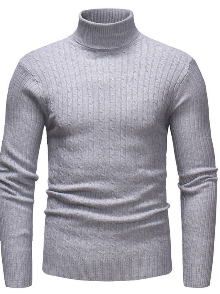 Plain Standard Turtleneck Casual Mænds Slim Sweater