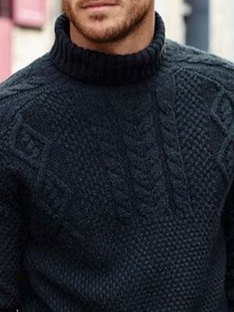 Plain Turtleneck Standard Afslappet Mænds Sweater Til Mænd