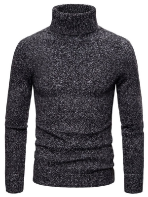 Plain Turtleneck Standard Casual Herre Sweater