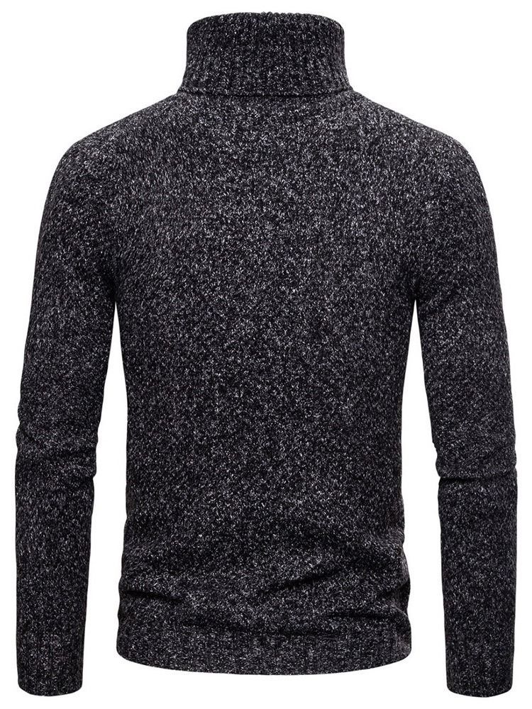 Plain Turtleneck Standard Casual Herre Sweater