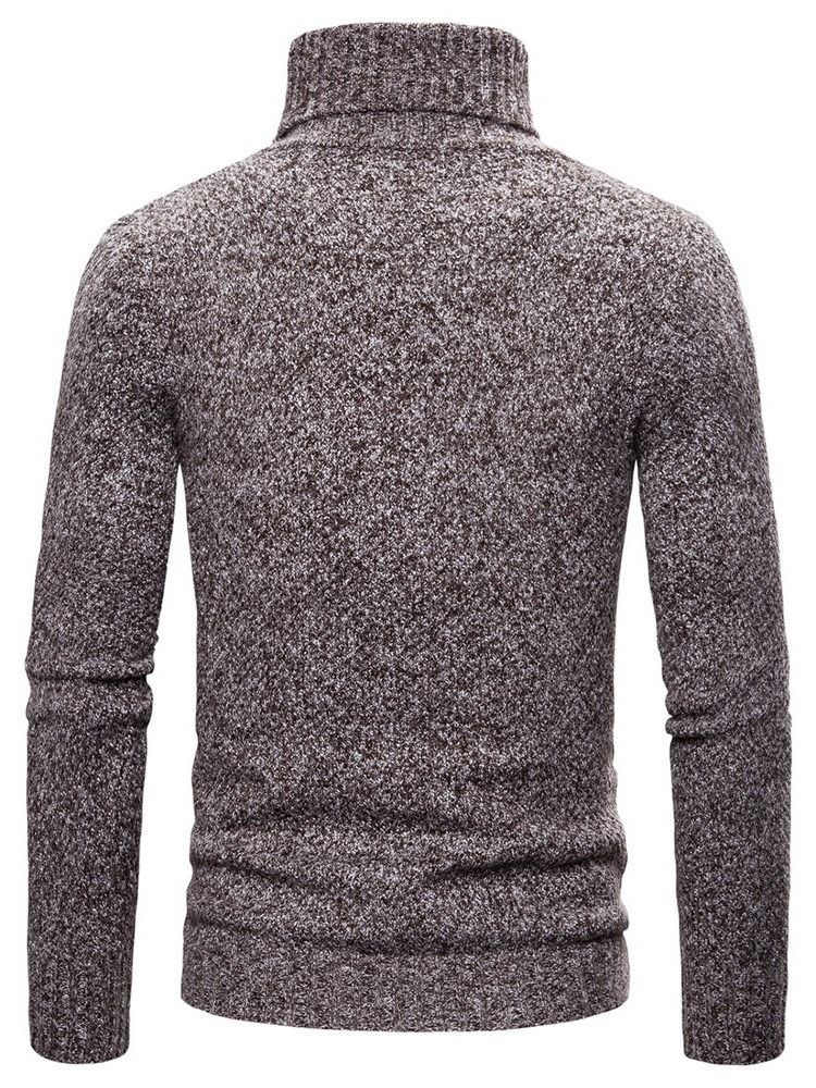 Plain Turtleneck Standard Casual Herre Sweater