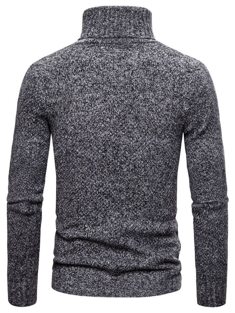 Plain Turtleneck Standard Casual Herre Sweater