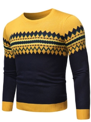 Rund Hals Farveblok Standard Vinter Afslappet Herre Sweater