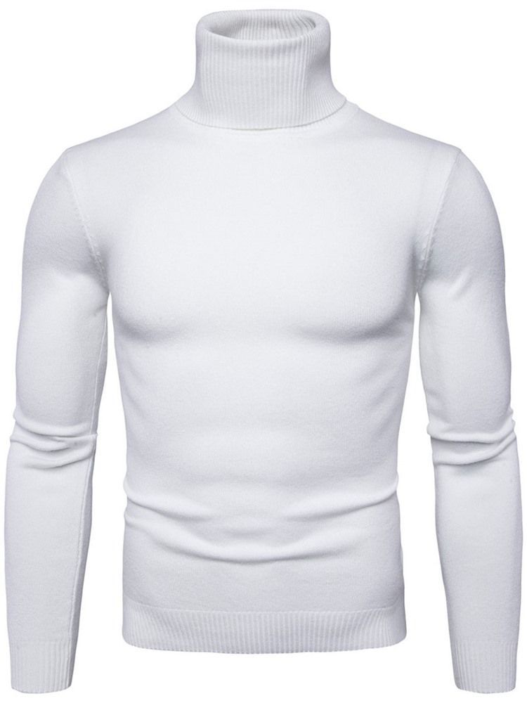 Turtleneck Plain Standard Slim Spring Herre Sweater