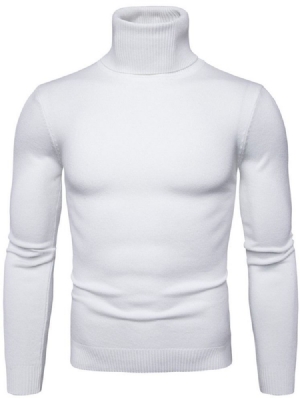 Turtleneck Plain Standard Slim Spring Herre Sweater