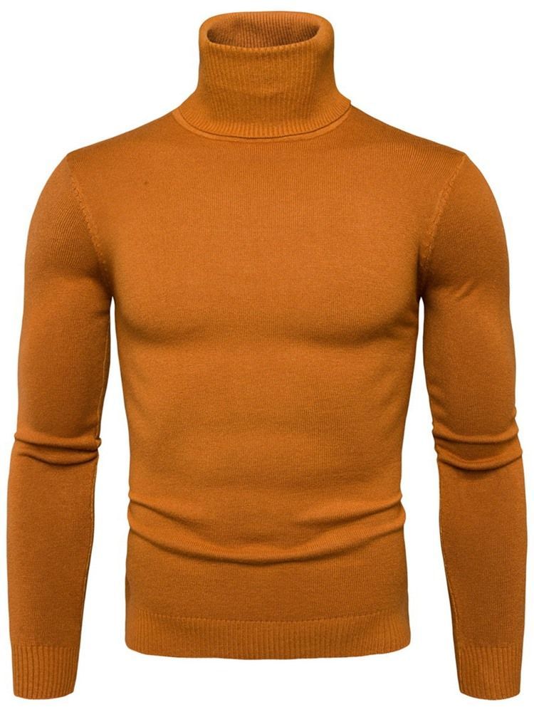 Turtleneck Plain Standard Slim Spring Herre Sweater