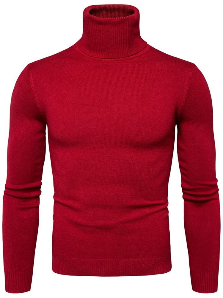 Turtleneck Plain Standard Slim Spring Herre Sweater