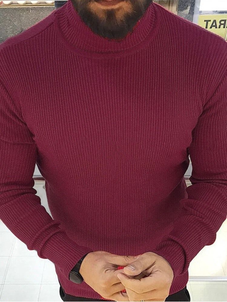 Turtleneck Plain Standard Winter Casual Herre Sweater