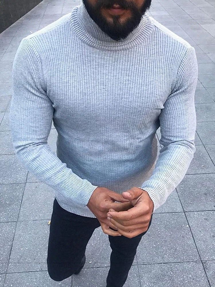 Turtleneck Plain Standard Winter Casual Herre Sweater