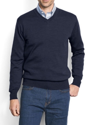 V-neck Standard Plain Fall Herre Sweater