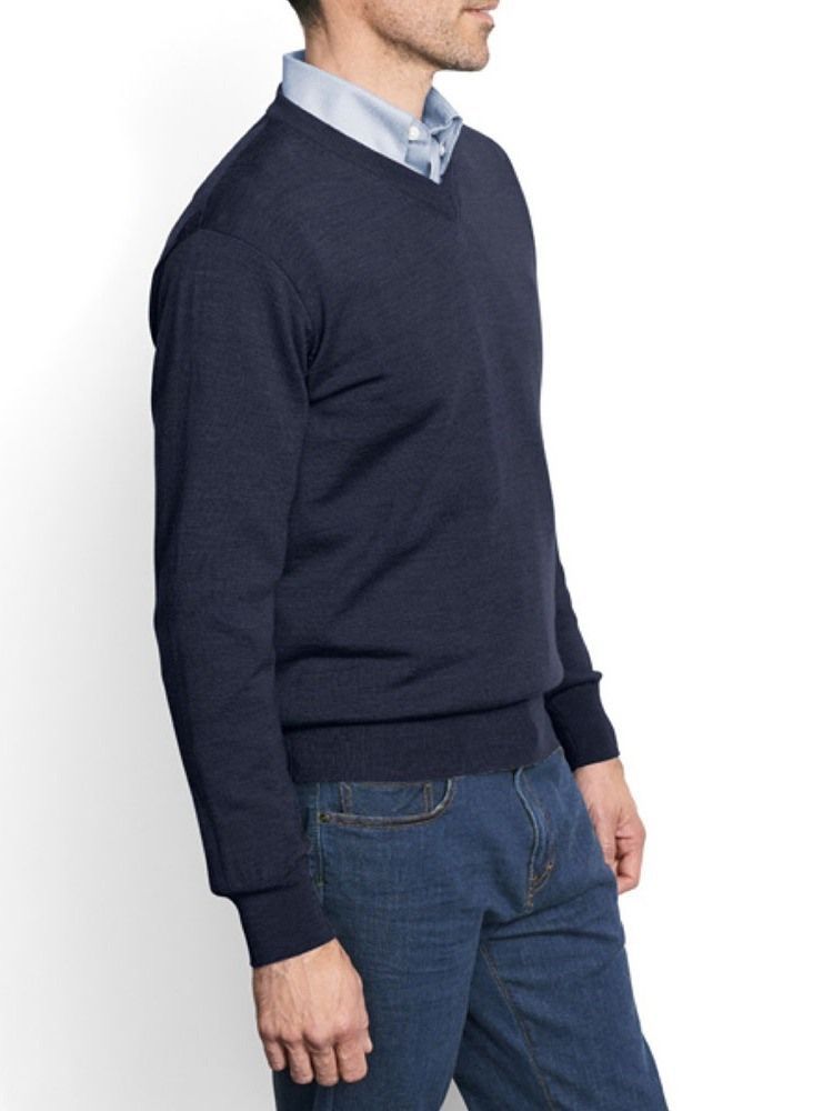 V-neck Standard Plain Fall Herre Sweater