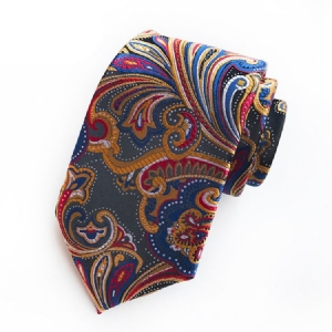 Mænds Forretning Paisley Tie For Man