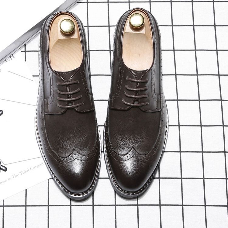 Plain Lace-up Pointed Toe Oxfords Til Mænd