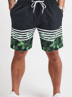 Plant Lace-up Mid Waist Casual Shorts Til Mænd