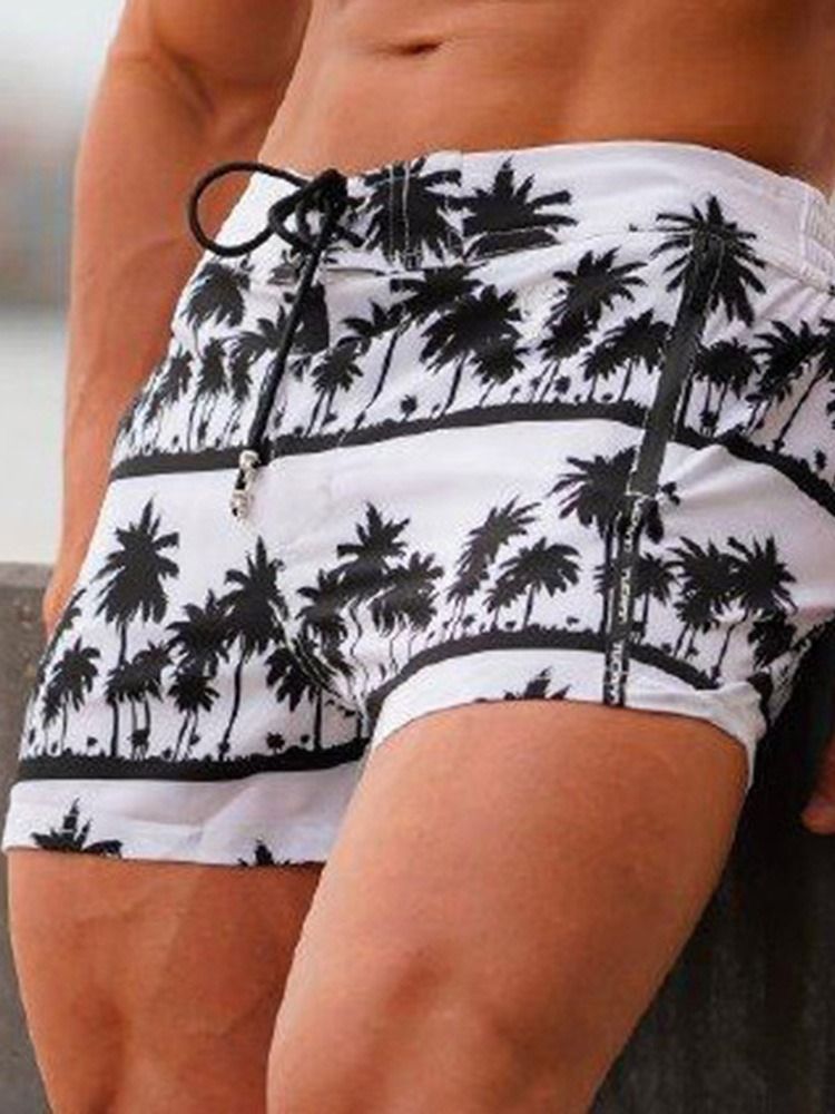 Plant Print Slim Lace-up Casual Shorts Til Mænd