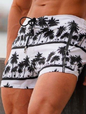 Plant Print Slim Lace-up Casual Shorts Til Mænd