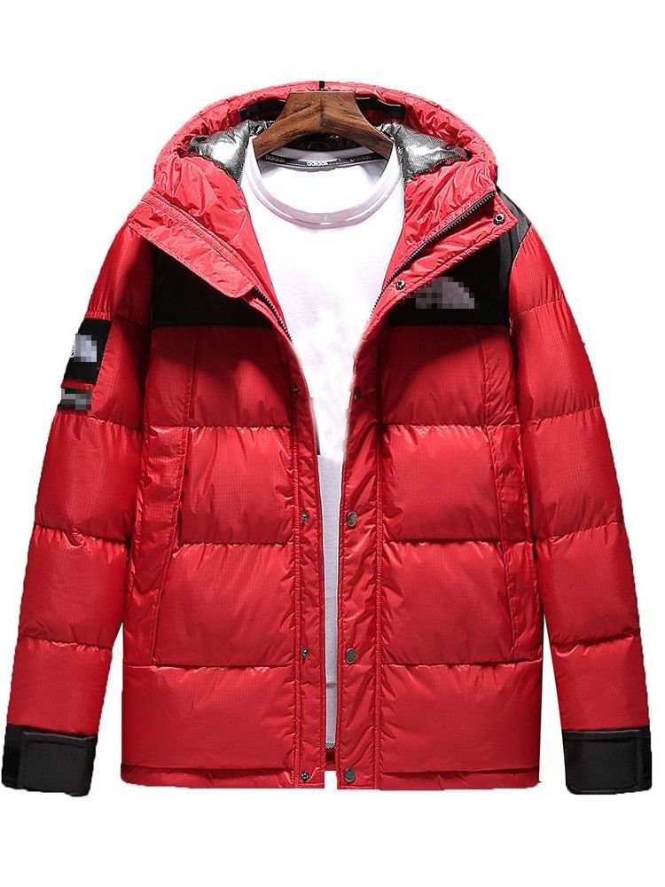 Hooded Zipper European Style Men's Down Jacket